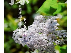 -洛阳市隋唐城遗址植物园