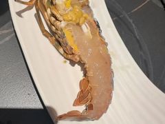 -雍容荟活波龙自助餐(IFS黑金店)