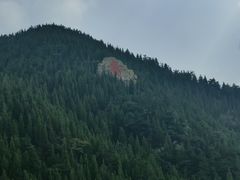 -龙口南山旅游景区