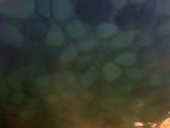 -杭州第一世界大酒店·云曼温泉