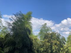 -莫干山风景区