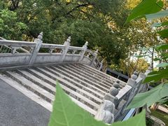 -太子山公园(园东路)