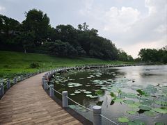 -国恩寺