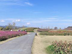 -径山花海