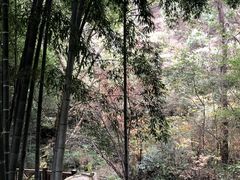 -敬亭山风景名胜区