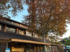 -猫的天空之城概念书店(景德镇陶溪川店)