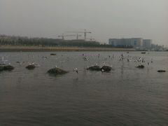 -栈桥景区