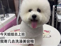 -FAELING PETS美天灵宠物(富力广场店)