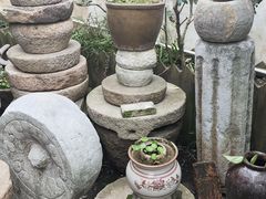 -金山嘴渔村