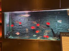 -手佳·水疗汇(嘉益店)