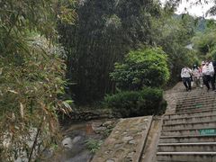 -少华山国家森林公园