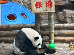 -济南野生动物世界