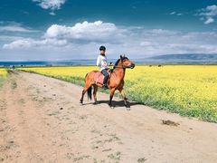 -青海湖国家重点风景名胜区