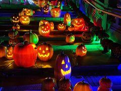 -郑州方特梦幻王国