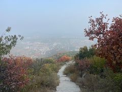 -北京西山国家森林公园