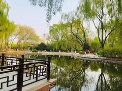 -玲珑塔公园