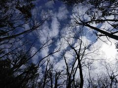 -张家界天门山国家森林公园