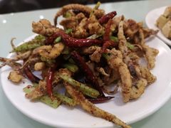 干煸鱿鱼须-胖子菜馆(隆昌路店)
