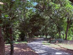 -南宁良凤江国家森林公园