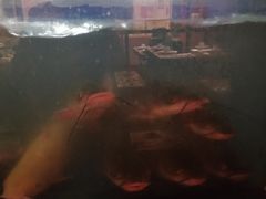 -尚渔味双拼烤鱼(燕郊永旺店)