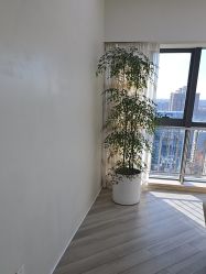 -HEYAN荷妍专业脱毛连锁机构