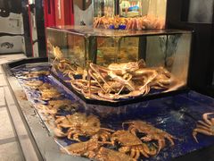 -蟹道乐(道顿堀本店)