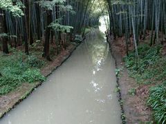 -同里国家湿地公园