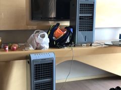 -青岛银沙滩温德姆至尊酒店