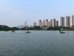 -洋湖国家湿地公园