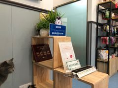 -伟伟宠物医院·瑞派猫友好医院·猫科(光谷店)