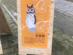 -承恩寺