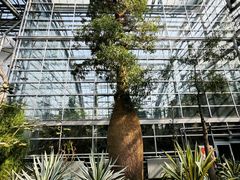 -南山植物园