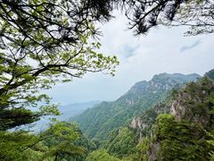 -王顺山国家森林公园