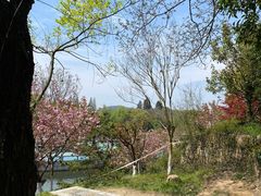 -白马涧龙池景区