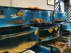 -正德楼果木烤鸭·渔家菜(东港店)