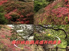 -木兰云雾山