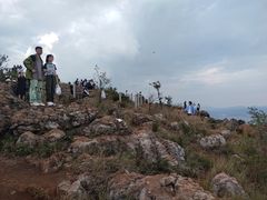 -长虫山生态公园风景林