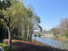-新江湾城公园