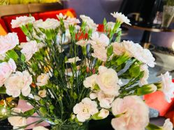 -花隐·美芙炫海菲秀皮肤管理中心