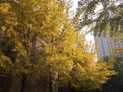 -辽宁大学(崇山校区)