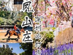 -龙凤山庄影视度假村