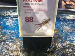 -盒马鲜生(莱蒙都会店)