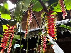 -VV桌球俱乐部(长阳大润发店)