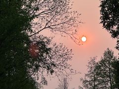 -洋湖国家湿地公园