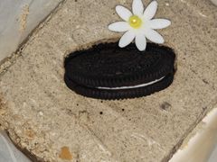 -金茂览秀城