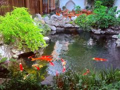 -鲤院·新中式美学·庭院餐厅(夫子庙店)