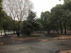 -无忧学车·华茂基地(宝山校区)