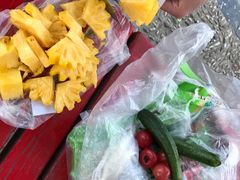 -黑河国家森林公园