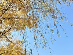 -上海交通大学(闵行校区)