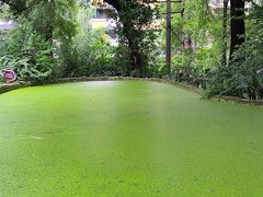 -成都市活水公园